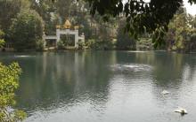 Primary image for Self-Realization Fellowship