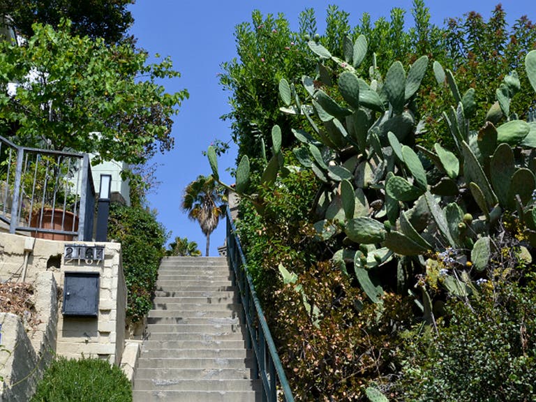 Broadview Terrace Stairs | Photo: Joshua Lurie