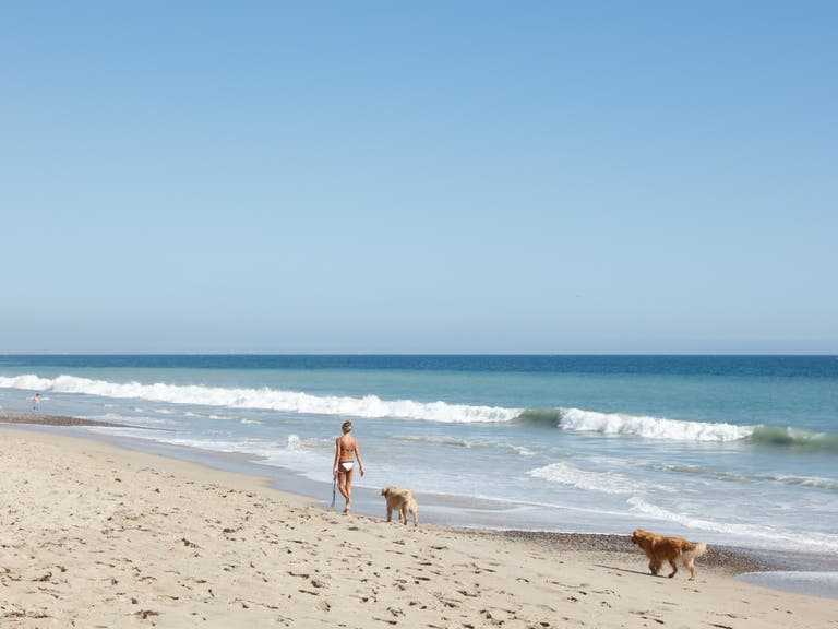 Carbon Beach Woman Dog